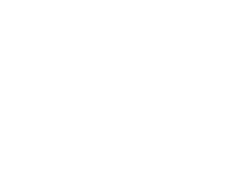 Sedyy signature logo